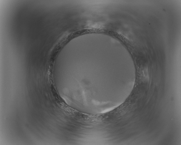 X0000071781254200607150046