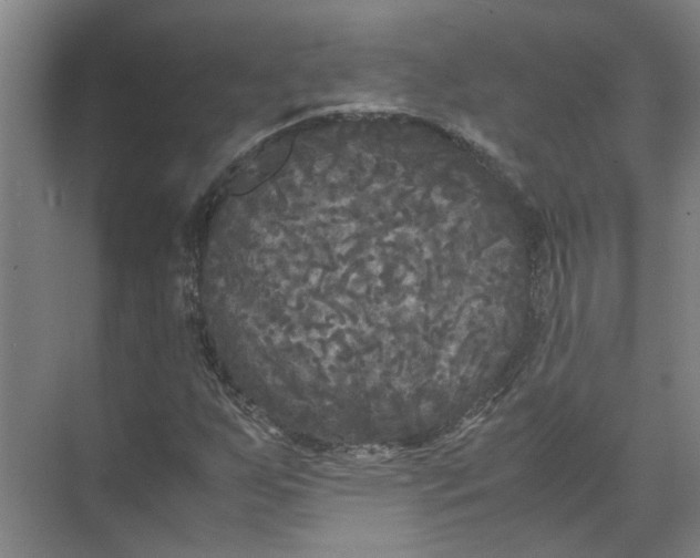 X0000071781255200607150046