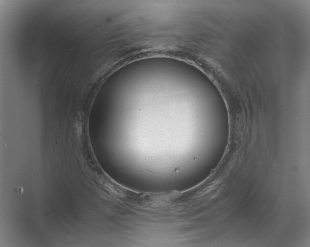 X0000071781257200607150046