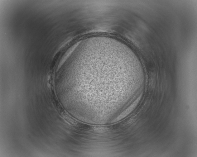 X0000071781258200607150046