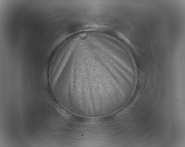 X0000071781259200607150046