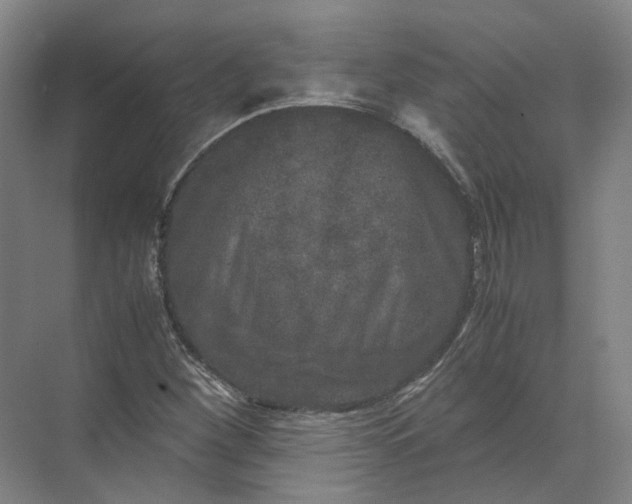 X0000071781260200607150046