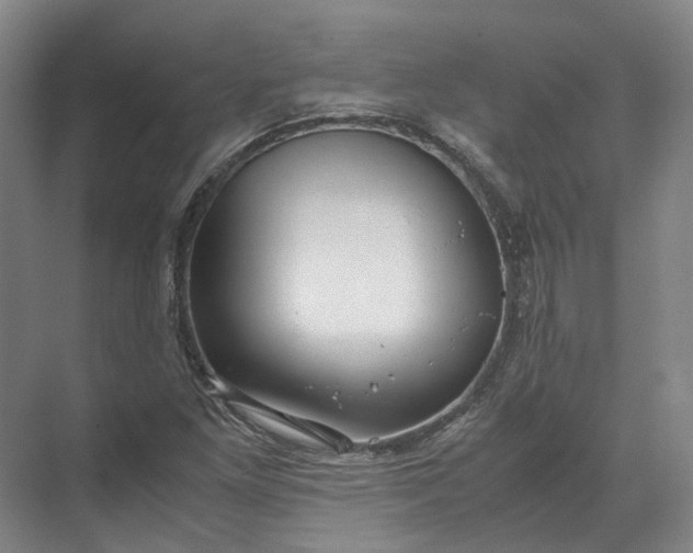 X0000071781261200607150046