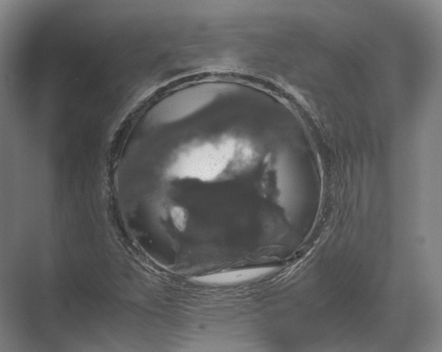 X0000071781263200607150046