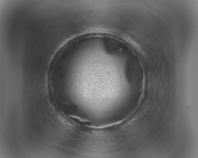 X0000071781264200607150046