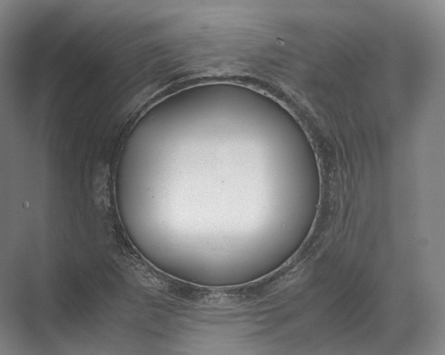 X0000071781265200607150046