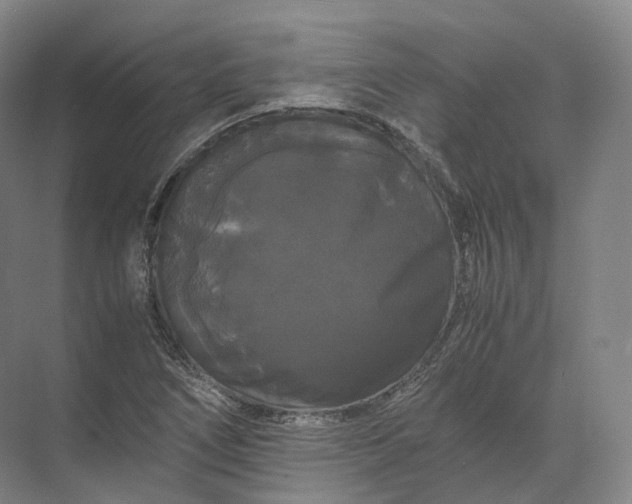 X0000071781266200607150045