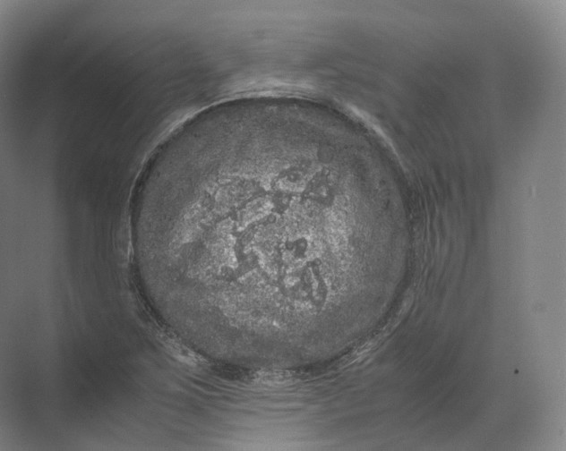 X0000071781267200607150045