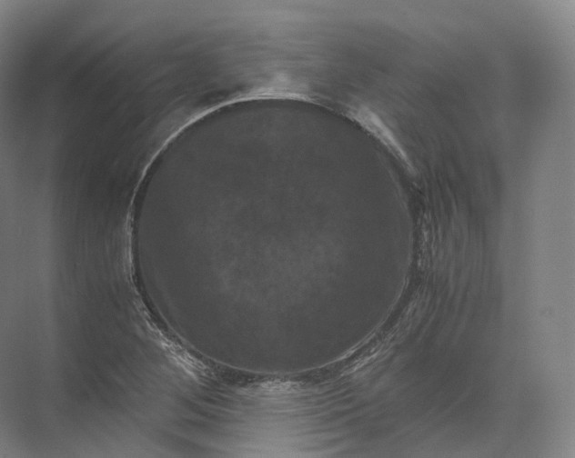 X0000071781268200607150045