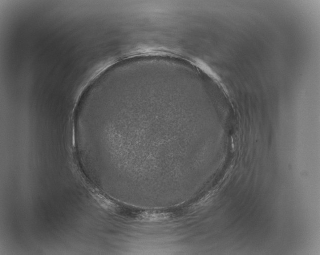 X0000071781269200607150045