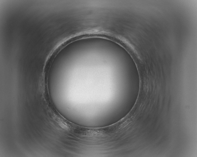 X0000071781270200607150045