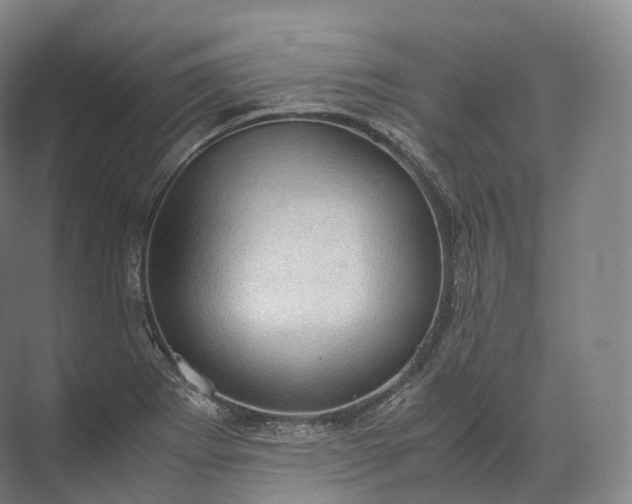 X0000071781273200607150045