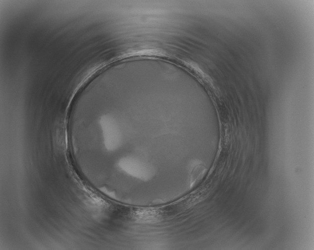 X0000071781274200607150045