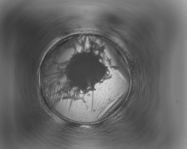 X0000071781275200607150045