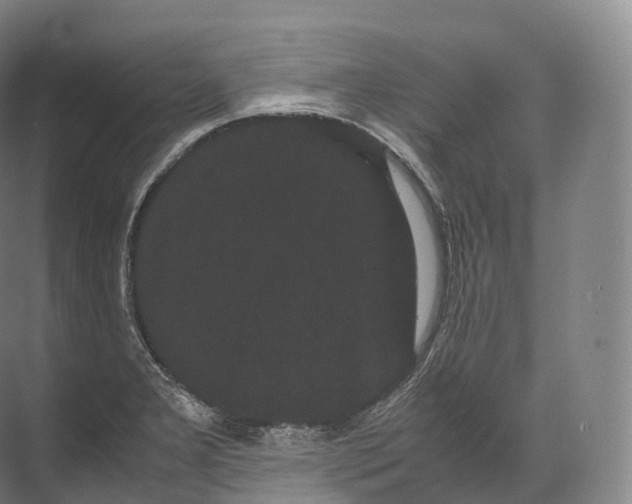 X0000071781277200607150045