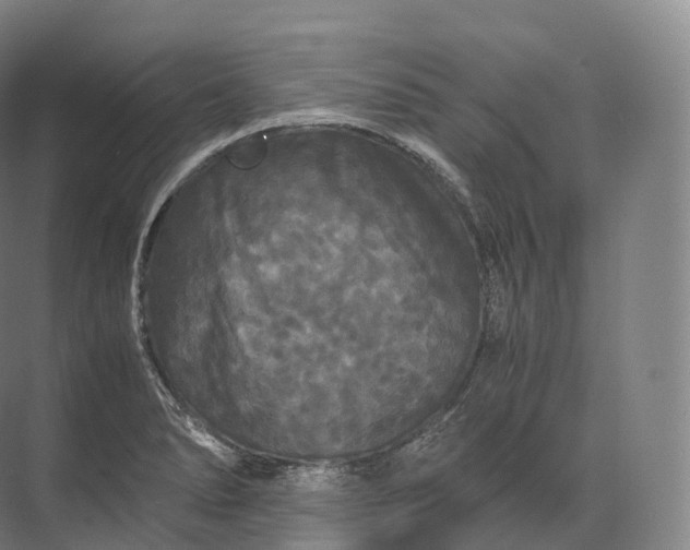 X0000071781278200607150045