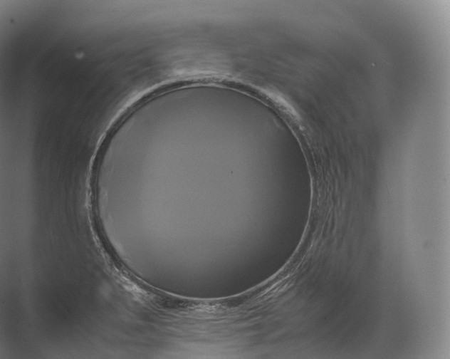 X0000071781279200607150045