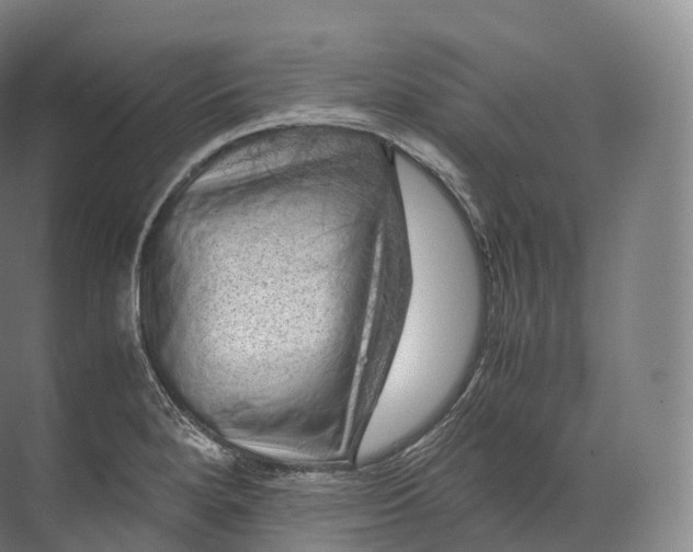 X0000071781280200607150045