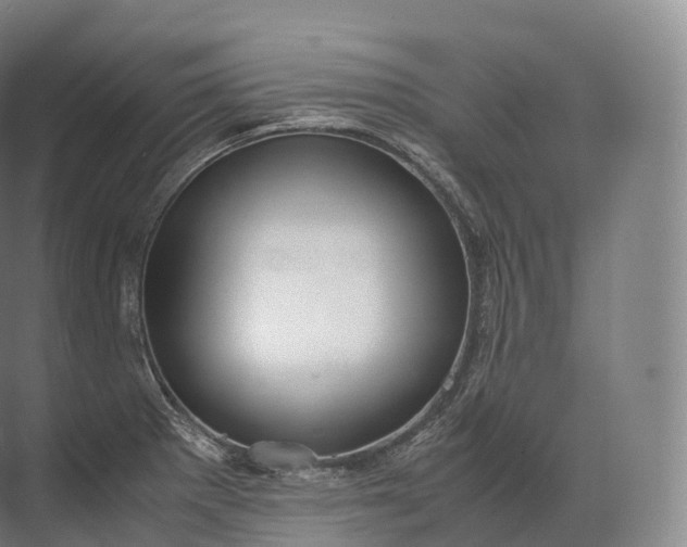 X0000071781281200607150045