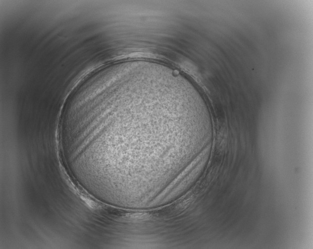 X0000071781282200607150045