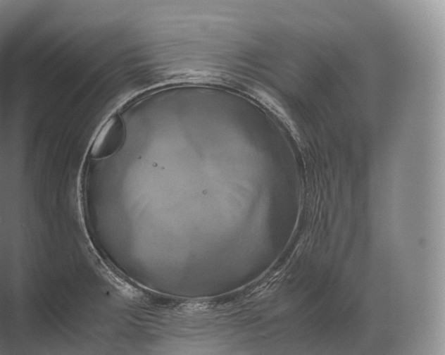 X0000071781283200607150045