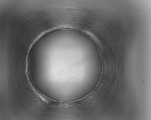 X0000071781286200607150045