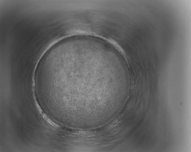 X0000071781287200607150045