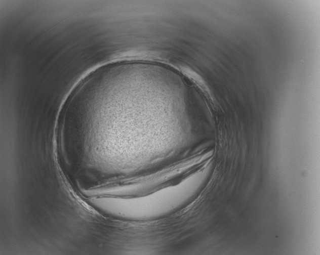 X0000071781288200607150045