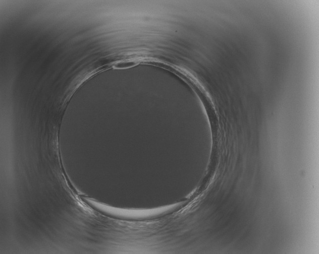 X0000071781289200607150045