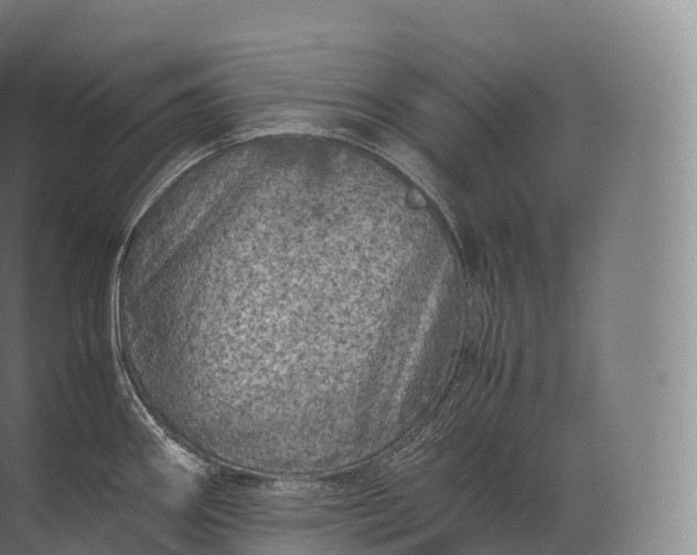 X0000071781290200607150045