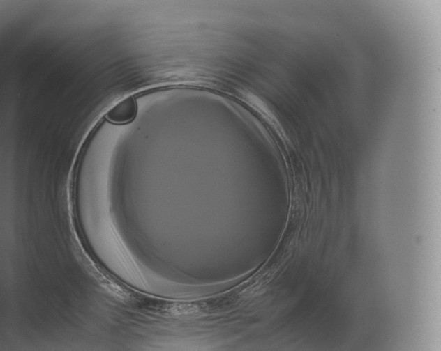 X0000071781291200607150045