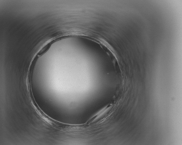 X0000071781293200607150045