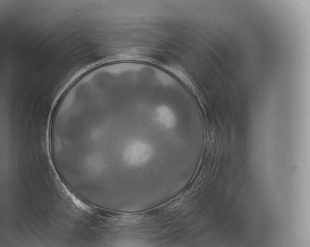 X0000071781294200607150045