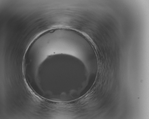 X0000071781295200607150045