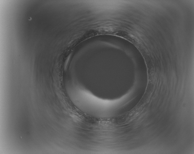 X0000071781297200607150044