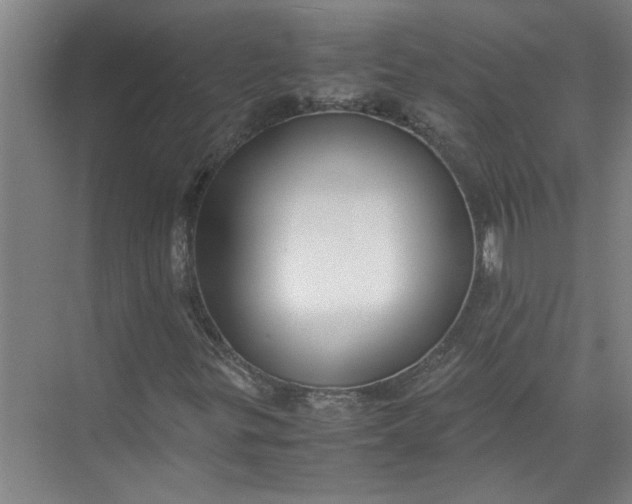 X0000071781299200607150044