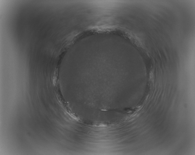 X0000071781300200607150044