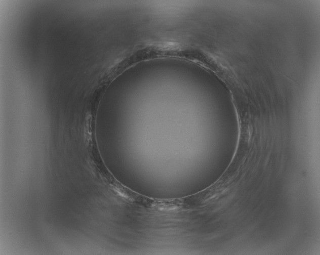 X0000071781301200607150044