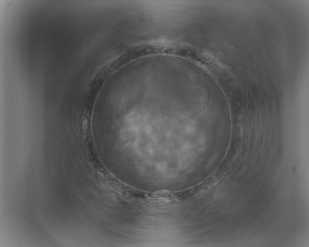 X0000071781302200607150044