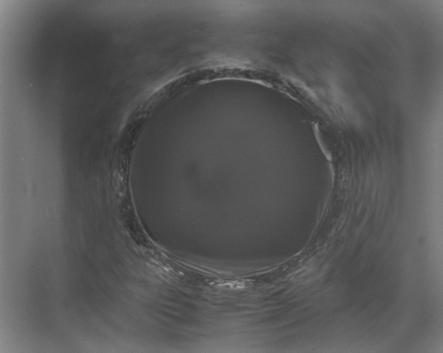 X0000071781303200607150044