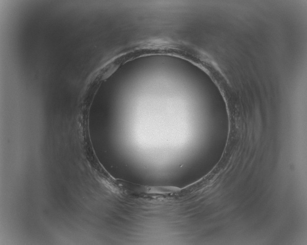 X0000071781304200607150044