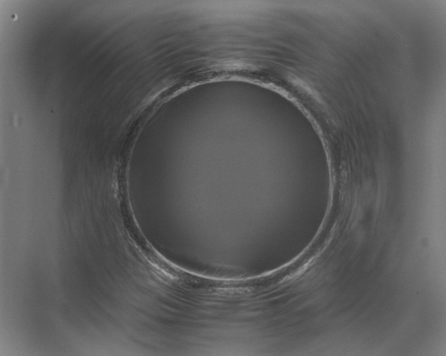 X0000071781305200607150044