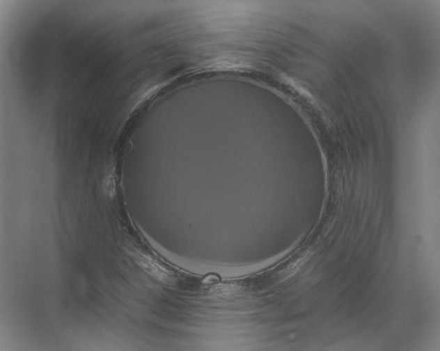 X0000071781306200607150044