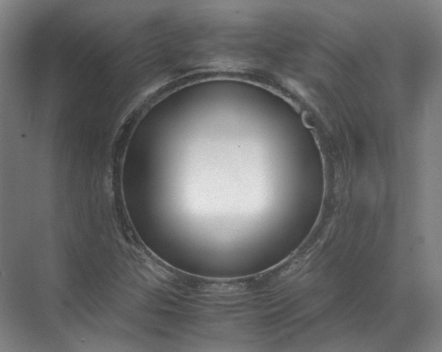 X0000071781307200607150044