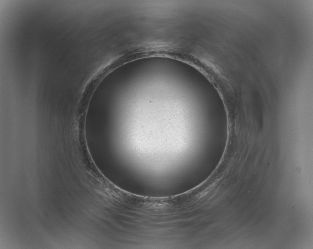 X0000071781309200607150044