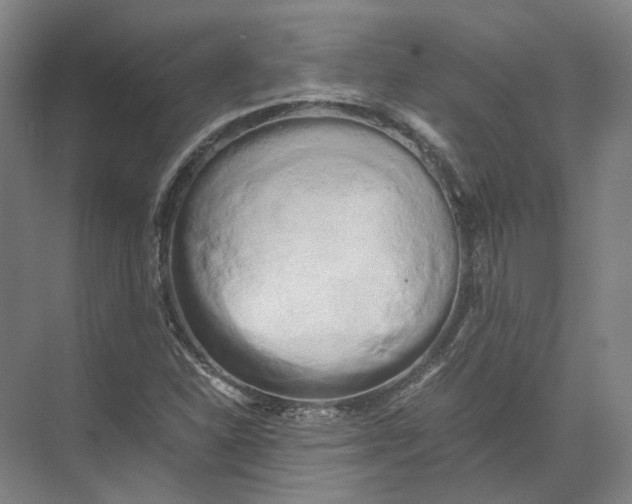 X0000071781310200607150044