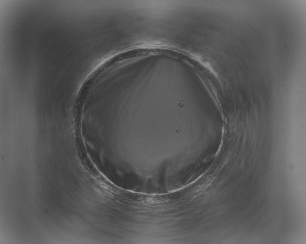 X0000071781311200607150044