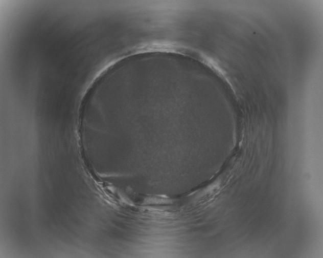 X0000071781312200607150044