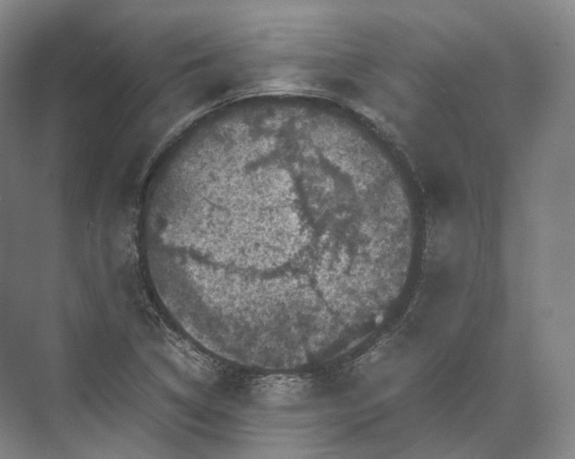 X0000071781314200607150044