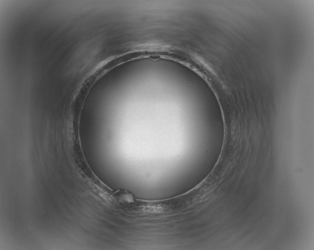 X0000071781315200607150044